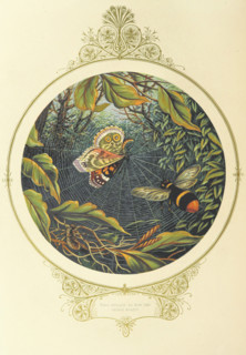 Then straight he flew like a valiant knight, 1870.  Creator: A. F. L..
