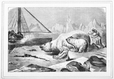 Shooting polar bears, 1880.  Creator: Unknown.