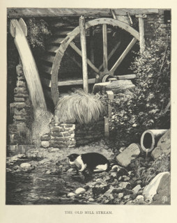 The Old Mill Stream, 1879.  Creator: Unknown.