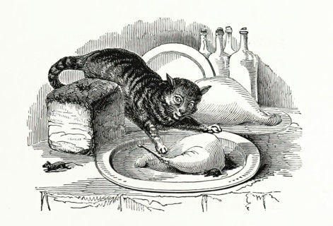 Cat stealing meat from a plate, 1847.  Creator: Unknown.