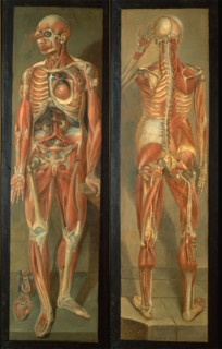 Two anatomical figures, 1764/1765.. Creator: Jacques Fabien Gautier Dagoty.