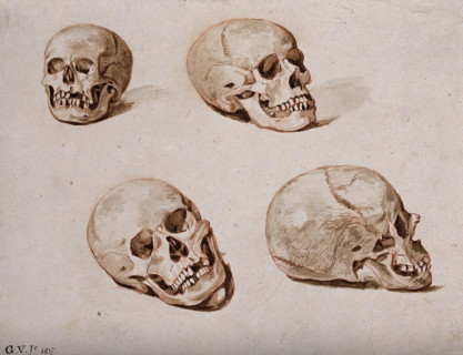 Four sketches of skulls, 1817. Creator: Unknown.