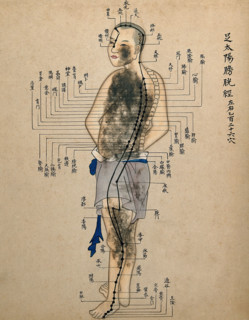 Acupuncture chart with a series of points indicated on the figure of a standing Chinese man. Creator: Unknown.