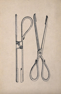 Surgical instruments. Creator: Unknown.