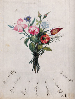 A bunch of flowers, the initial letters of which are shown to spell "Dorotea", c1890s.. Creator: Unknown.