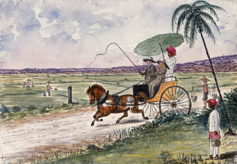 Malaya: a pony and trap being driven down a country road, 1879. Creator: John Edmund Taylor.