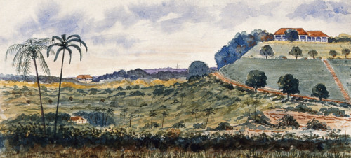 Singapore: a hill known as "Mount Echo", 1879. Creator: John Edmund Taylor.