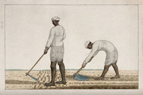 Two men digging the earth with spades, (between 1800 and 1899?). Creator: Unknown.