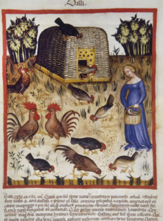 Roosters, 14th century.  Creator: Unknown.