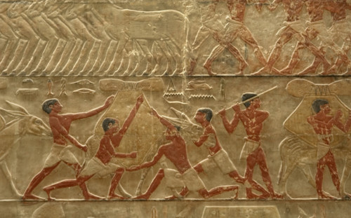 Relief detail of agricultural scene, Mastaba of Ti, Egypt, 5th Dynasty (2003). Creator: Unknown.