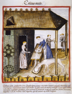 Fresh or unmatured cheese, 14th century.  Creator: Unknown.