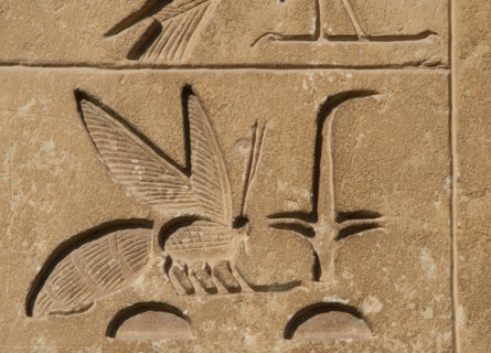 Hieroglyphic writing relief: Upper Egypt, (rush) and Lower Egypt (bee), Saqqara, Egypt, 2015.  Creator: Unknown.