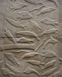 Fish relief, Mastaba of Kagemni, Saqqara, Egypt, Old Kingdom, 6th Dynasty, 2350 BC (2003). Creator: Unknown.