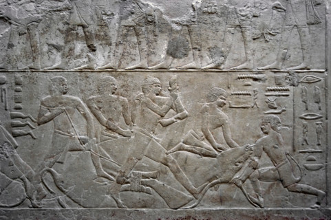 Relief depicting an ox slaughter, Mastaba of Mereruka, Saqqara, Egypt, Old Kingdom, 2003. Creator: Unknown.