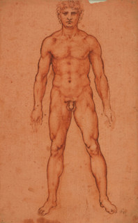 Standing male nude, 1503-1506. Creator: Leonardo da Vinci (1452-1519).