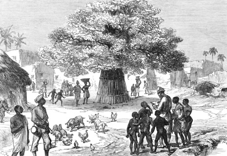 The Ashantee War: fetish tree in village near Cape Coast Castle...sketch by our special artist, 1874 Creator: Unknown.