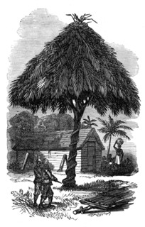 The Ashantee War: the camp whipping-post at Inquabim, 1874. Creator: Unknown.