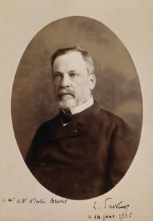 Louis Pasteur. Creator: Alphonse J. Liébert.