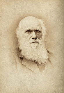 Charles Robert Darwin. Creator: Barraud.