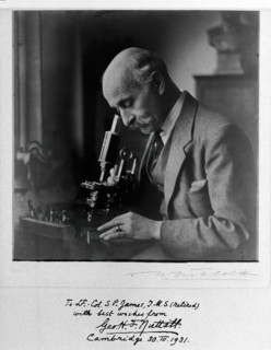 George Henry Falkiner Nuttall, 1931. Creator: T Whitlock.