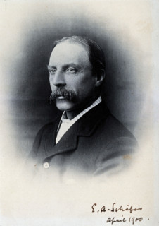 Sir Edward Albert Sharpey-Schafer, 1900. Creator: Unknown.