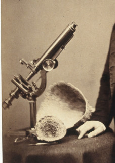 James Scott Bowerbank. Creator: Unknown.