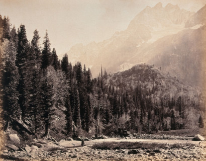Kashmir: a mountain valley and forest, between 1800 and 1899. Creator: Samuel Bourne.