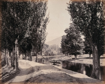 Kashmir: a tree-lined path by a canal, c1870s. Creator: Samuel Bourne.
