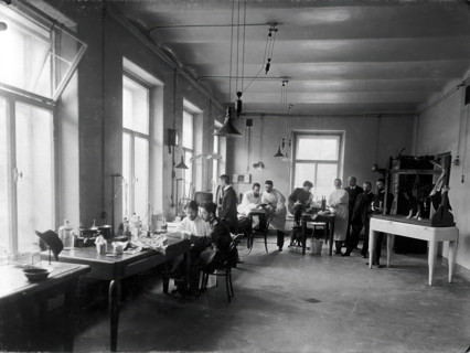 Ten members of staff studying and performing experiments on dogs in the Physiology..., 1904. Creator: Unknown.
