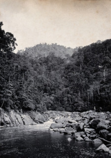 Sarawak: falls on the Baram River, c1900. Creator: Unknown.