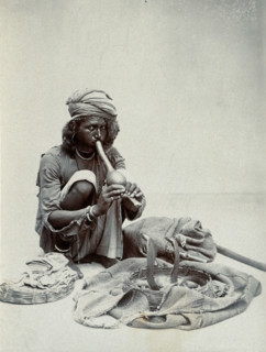 An Indian snake charmer squatting down playing his pipe, with two cobras in a basket in..., c1900. Creator: Unknown.
