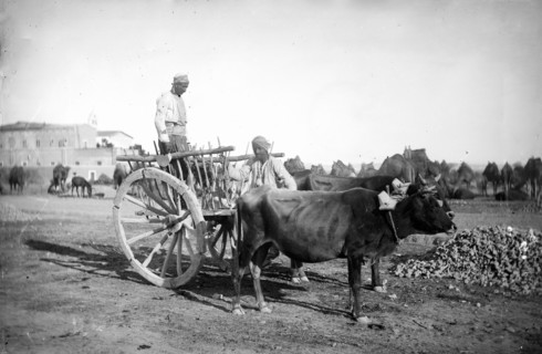 Cyprus, 1878. Creator: John Thomson.