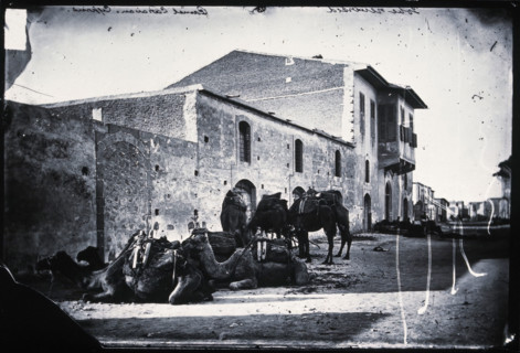 Cyprus, a camel caravan,  1981 (from a negative of 1878). Creator: John Thomson.