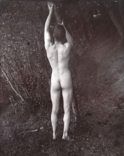 A man posing naked, with his back to the camera, holding on to a branch of a tree, c1900. Creator: Unknown.