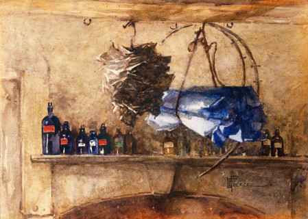 A shelf of bottles containing medicinal chemicals..., 1910-1950. Creator: Lucy Elizabeth Pierce.