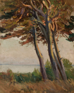 Pines at Polaga, 1908. Creator: Leon Wyczolkowski.