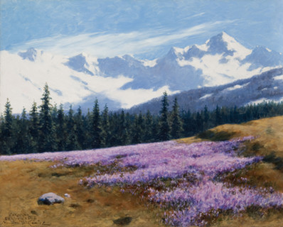 Crocuses with Snowy Mountains Behind, July 29, 1897. Creator: Stanislaw Witkiewicz.