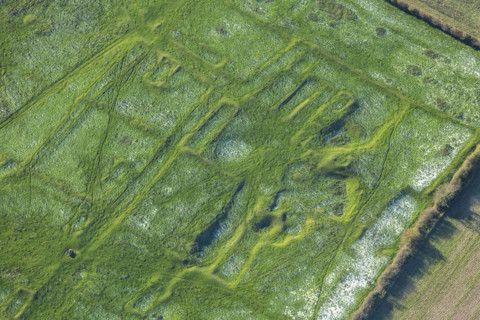 The earthwork remains of part of the deserted medieval village of Gainsthorpe...Lincolnshire, 2024 Creator: Robyn Andrews.