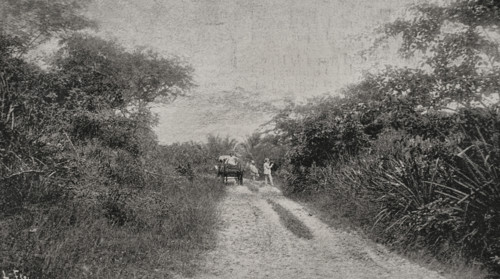 Morro road, Santiago de Cuba, Cuba, 1898. Creator: Unknown.