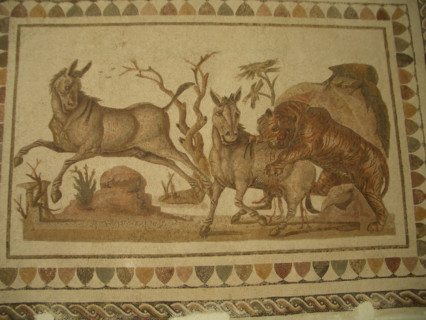 Mosaic, El Jem Museum, El Djem, Tunisia, 2009. Creator: Amanda Waite.