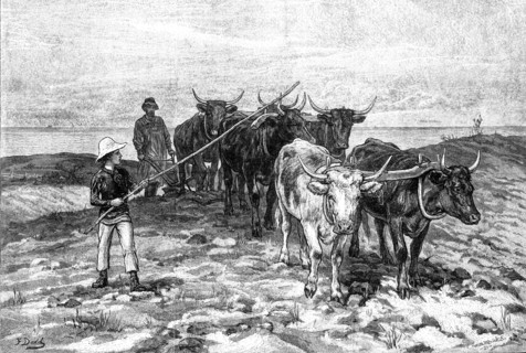 Ploughing on the Sussex Downs, 1881. Creator: William Michael Roberts Quick.
