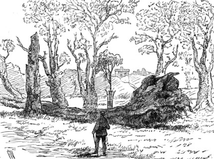 The Great Storm of Wind on Friday week: a tree uprooted near the bridge, Eton, 1881. Creator: Unknown.
