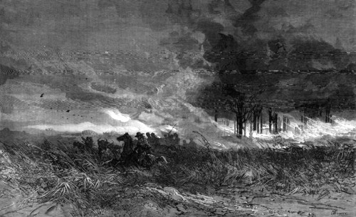 A forest fire in America, 1881. Creator: Unknown.