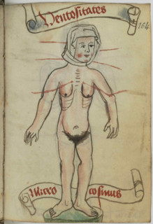 Miniature from Recueil de prières, suivi de notions astrologiques (Allemand 124), 15th century. Creator: Anonymous master.