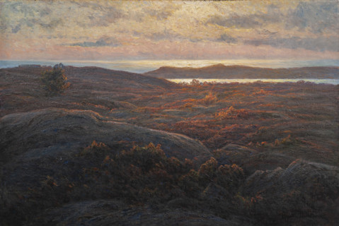 Sunlight, before 1912. Creator: Wahlström, Charlotte (1849-1924).