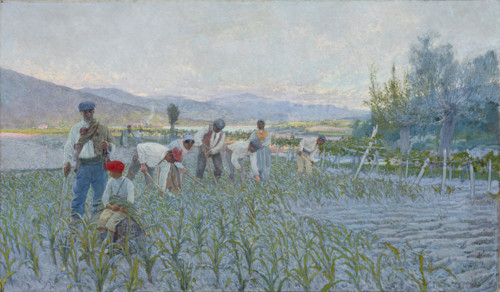 The weeding corn, 1893. Creator: Guinea, Anselmo (1855-1906).