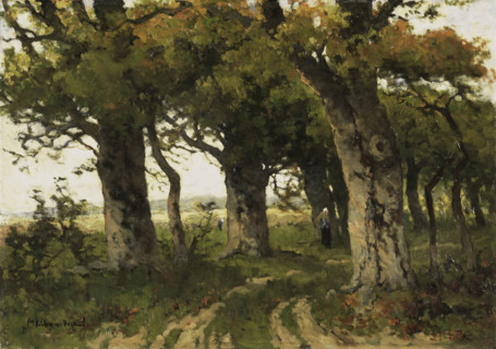 Avenue of Oaks in Late Summer, Between 1880 and 1900. Creator: Bilders-van Bosse, Maria (1837-1900).