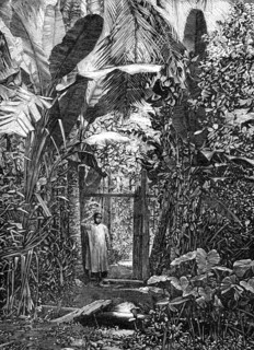 Sketches of Annam, Cochin China: village pathway, 1883. Creator: Kemp.