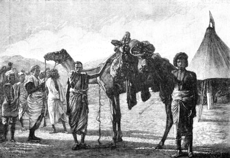 Illustrations of "The Wild Tribes of the Soudan", by F. L. James...: arrival of meat in camp, 1883. Creator: Unknown.