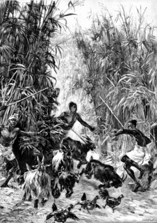 Mr. H. M. Stanley’s Emin Pasha Relief Expedition - foraging for supplies for the Yahbuya Camp, 1890. Creator: H. Werdmüller.